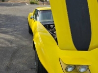 1977 Chevrolet Corvette for sale in Michigan (ID-137521)