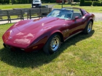 1977 Chevrolet Corvette for sale in Michigan (ID-141791)