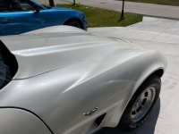1977 Chevrolet Corvette for sale in Michigan (ID-141822)