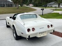 1977 Chevrolet Corvette for sale in Michigan (ID-141822)