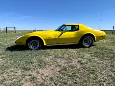 1977 Chevrolet Corvette for sale