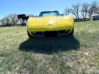 1977 Chevrolet Corvette for sale in Michigan (ID-142105)
