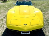 1977 Chevrolet Corvette for sale in Michigan (ID-142105)