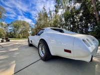1977 Chevrolet Corvette for sale in Michigan (ID-143731)