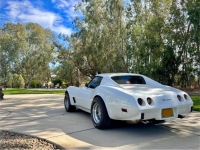 1977 Chevrolet Corvette for sale in Michigan (ID-143731)