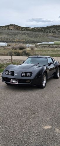 1977 Chevrolet Corvette for sale in Michigan (ID-146425)
