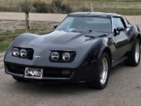 1977 Chevrolet Corvette for sale in Michigan (ID-146425)