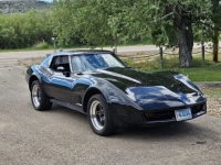 1977 Chevrolet Corvette for sale in Michigan (ID-146425)
