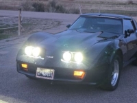 1977 Chevrolet Corvette for sale in Michigan (ID-146425)