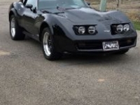 1977 Chevrolet Corvette for sale in Michigan (ID-146425)