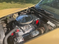 1977 Chevrolet Corvette for sale (ID-154760)