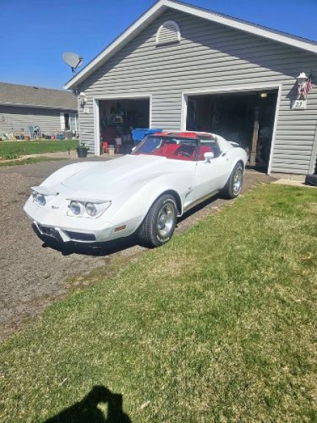 1977 Chevrolet Corvette for sale in Michigan (ID-164126)