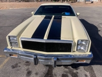 1977 Chevrolet El Camino for sale in Michigan (ID-95058)