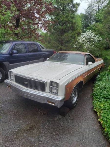 1977 Chevrolet El Camino for sale in Michigan (ID-102059)