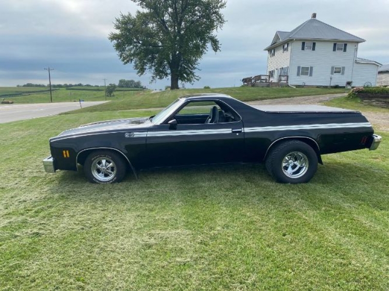 1977 Chevrolet El Camino for sale in Michigan (ID-107110)