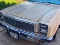 1977 Chevrolet El Camino for sale in Michigan (ID-115510)