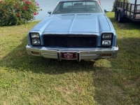 1977 Chevrolet El Camino for sale in Michigan (ID-163336)