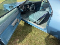 1977 Chevrolet El Camino for sale in Michigan (ID-163336)