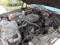 1977 Chevrolet Impala for sale in Michigan (ID-113612)