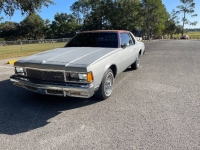 1977 Chevrolet Impala for sale in Michigan (ID-128081)