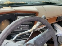 1977 Chevrolet K10 for sale in Michigan (ID-115082)