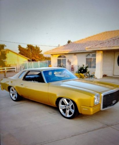 1977 Chevrolet Malibu for sale in Michigan (ID-129921)