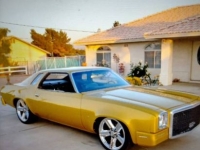 1977 Chevrolet Malibu for sale in Michigan (ID-129921)