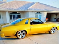 1977 Chevrolet Malibu for sale in Michigan (ID-129921)