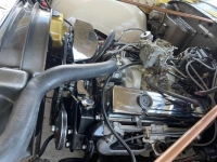1977 Chevrolet Malibu for sale in Michigan (ID-129921)