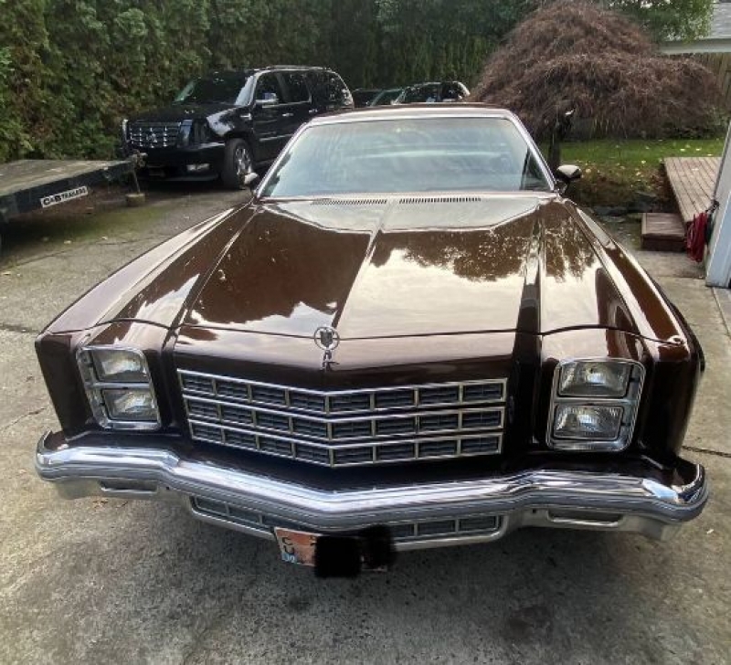 1977 Chevrolet Monte Carlo for sale in Michigan (ID-94432)