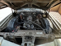 1977 Chevrolet Monte Carlo for sale in Michigan (ID-116761)