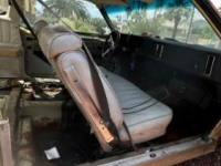 1977 Chevrolet Monte Carlo for sale in Michigan (ID-116761)