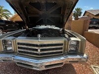 1977 Chevrolet Monte Carlo for sale in Michigan (ID-116761)