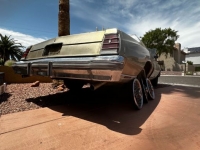 1977 Chevrolet Monte Carlo for sale in Michigan (ID-116761)