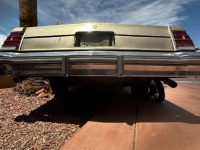 1977 Chevrolet Monte Carlo for sale in Michigan (ID-116761)