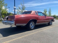 1977 Chevrolet Monte Carlo for sale in Michigan (ID-121095)