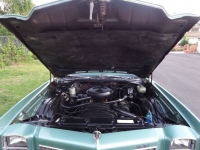 1977 Chevrolet Monte Carlo for sale in Michigan (ID-122715)