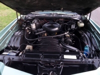 1977 Chevrolet Monte Carlo for sale in Michigan (ID-122715)