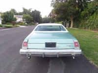 1977 Chevrolet Monte Carlo for sale in Michigan (ID-122715)