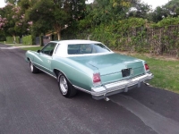 1977 Chevrolet Monte Carlo for sale in Michigan (ID-122715)