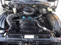 1977 Chevrolet Monte Carlo for sale in Michigan (ID-141563)