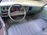 1977 Chevrolet Monte Carlo for sale in Michigan (ID-141563)