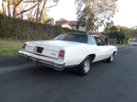1977 Chevrolet Monte Carlo for sale in Michigan (ID-141563)