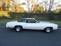 1977 Chevrolet Monte Carlo for sale in Michigan (ID-141563)