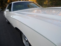 1977 Chevrolet Monte Carlo for sale in Michigan (ID-141563)