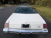 1977 Chevrolet Monte Carlo for sale in Michigan (ID-141563)