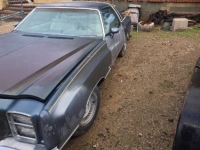 1977 Chevrolet Monte Carlo for sale in Michigan (ID-155486)