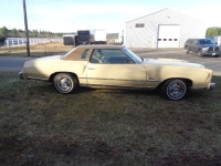 1977 Chevrolet Monte Carlo for sale in Michigan (ID-163458)