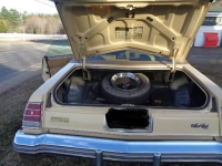 1977 Chevrolet Monte Carlo for sale in Michigan (ID-163458)