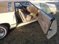 1977 Chevrolet Monte Carlo for sale in Michigan (ID-163458)